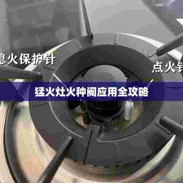 猛火灶火种阀应用全攻略