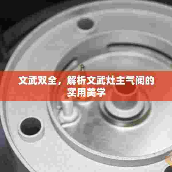 文武双全，解析文武灶主气阀的实用美学