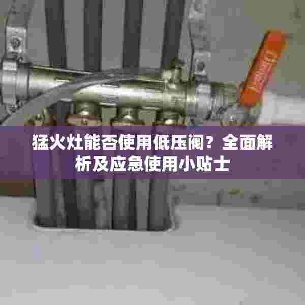 猛火灶能否使用低压阀？全面解析及应急使用小贴士