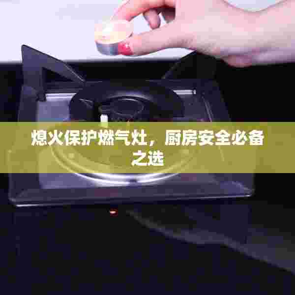 熄火保护燃气灶，厨房安全必备之选