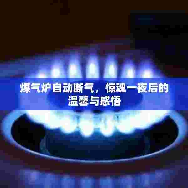 煤气炉自动断气，惊魂一夜后的温馨与感悟
