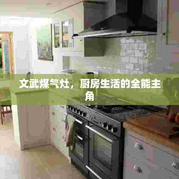 文武煤气灶，厨房生活的全能主角