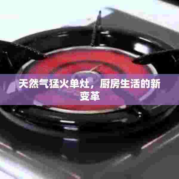 天然气猛火单灶，厨房生活的新变革