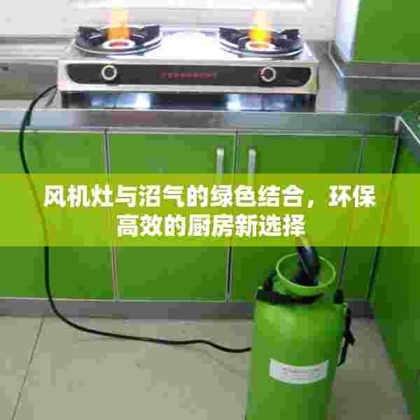 风机灶与沼气的绿色结合，环保高效的厨房新选择