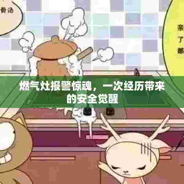 燃气灶报警惊魂，一次经历带来的安全觉醒
