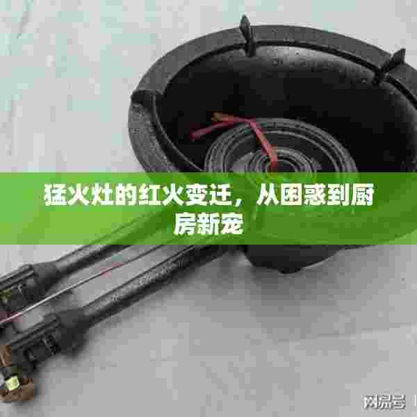 猛火灶的红火变迁，从困惑到厨房新宠