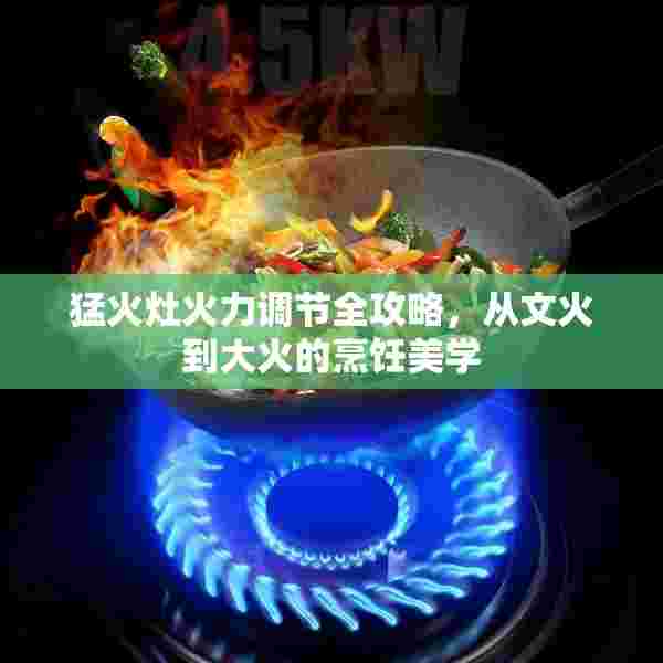猛火灶火力调节全攻略，从文火到大火的烹饪美学