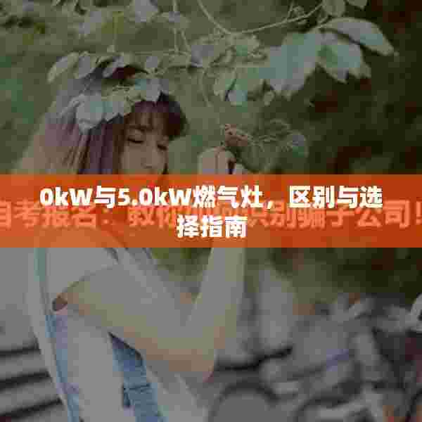 0kW与5.0kW燃气灶，区别与选择指南