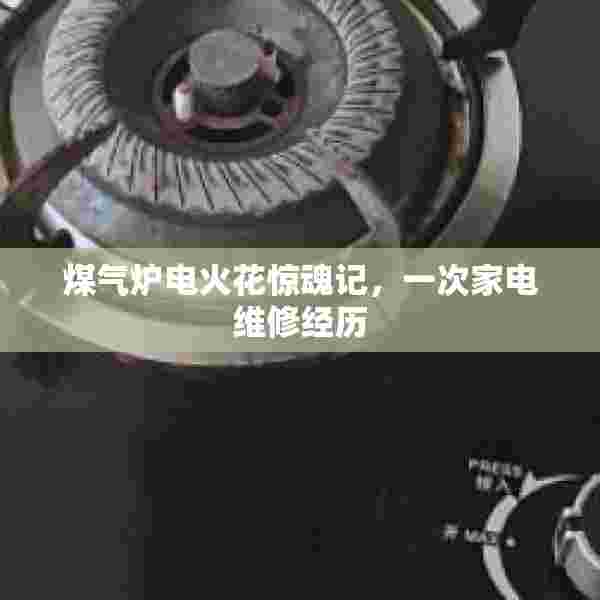 煤气炉电火花惊魂记，一次家电维修经历