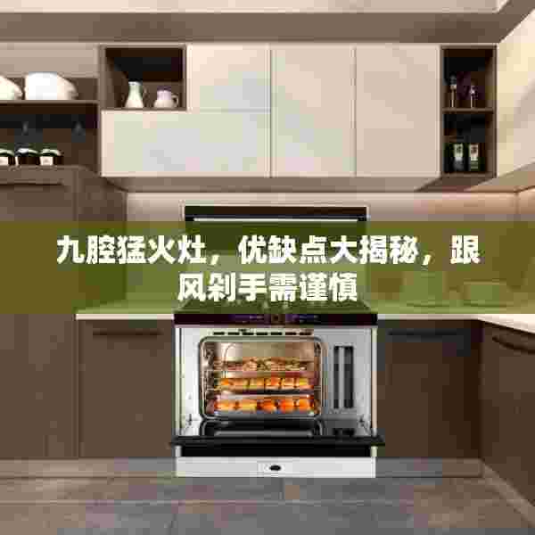 九腔猛火灶，优缺点大揭秘，跟风剁手需谨慎