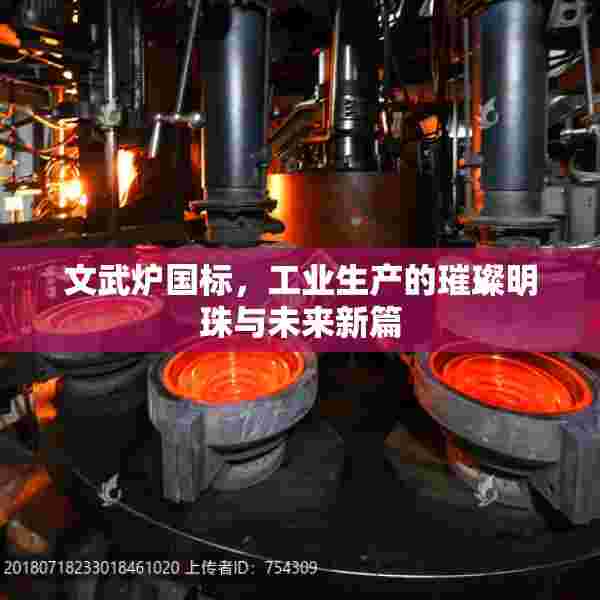 文武炉国标，工业生产的璀璨明珠与未来新篇