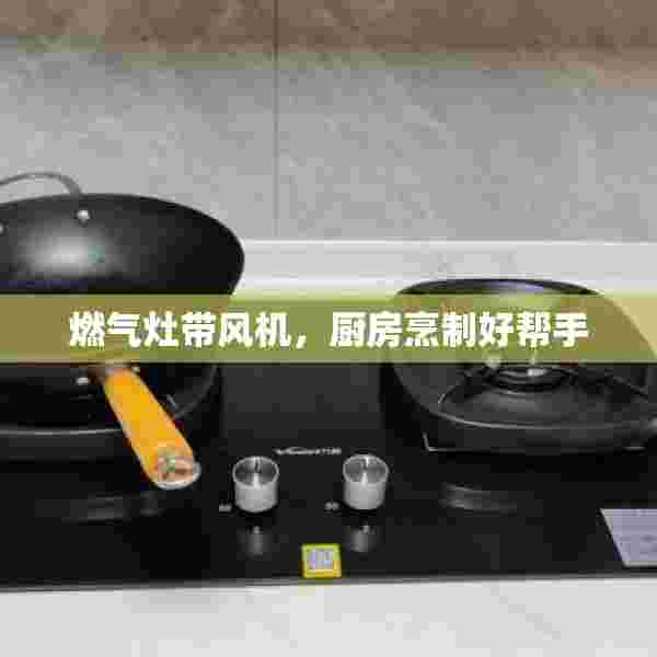 燃气灶带风机，厨房烹制好帮手