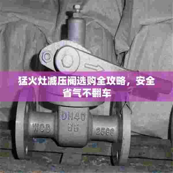 猛火灶减压阀选购全攻略，安全省气不翻车