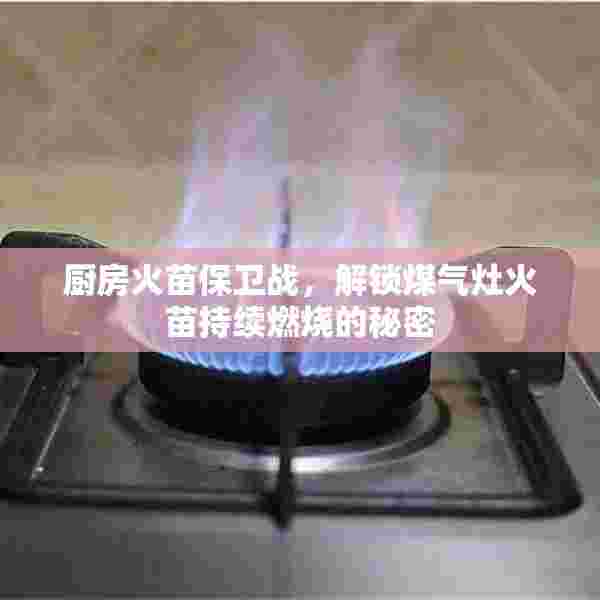 厨房火苗保卫战，解锁煤气灶火苗持续燃烧的秘密