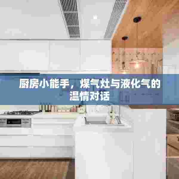 厨房小能手，煤气灶与液化气的温情对话